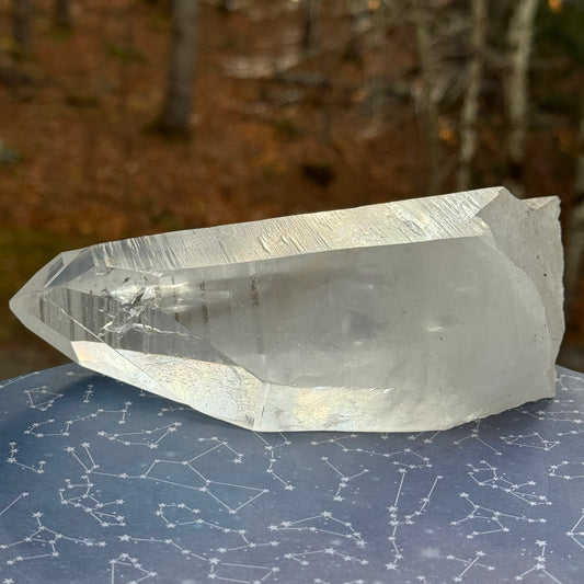 Portal Lemurian Seed Quartz Crystal Point