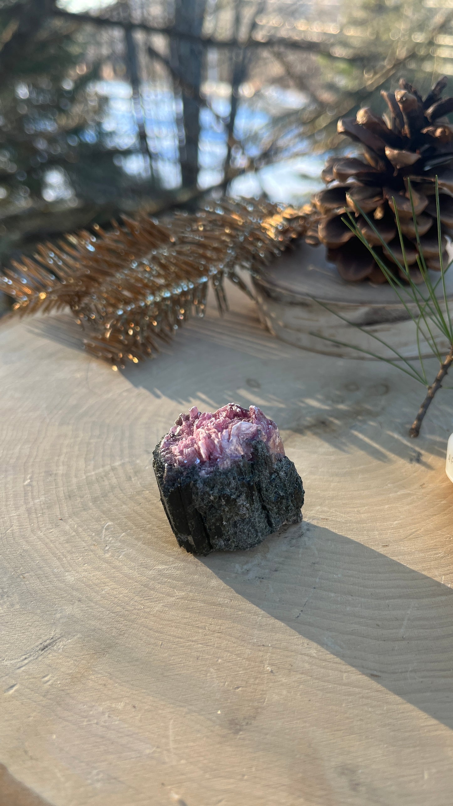 Watermelon Tourmaline Crystal