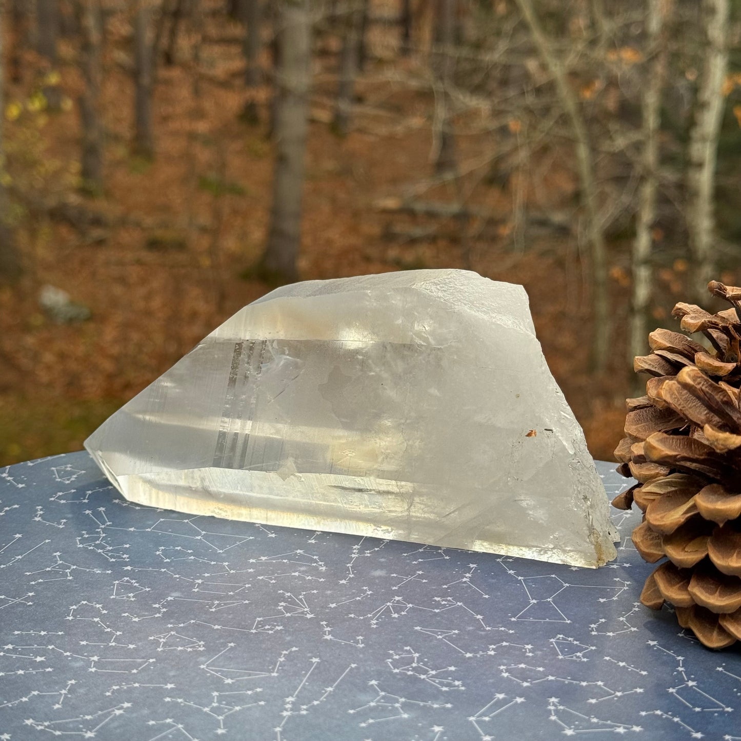 Portal Lemurian Seed Quartz Crystal Point