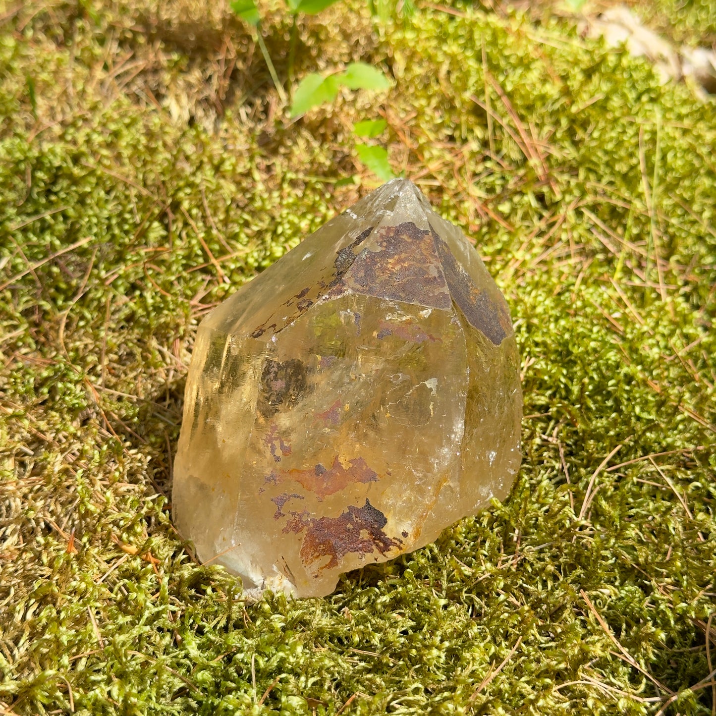 Brazilian Citrine Crystal