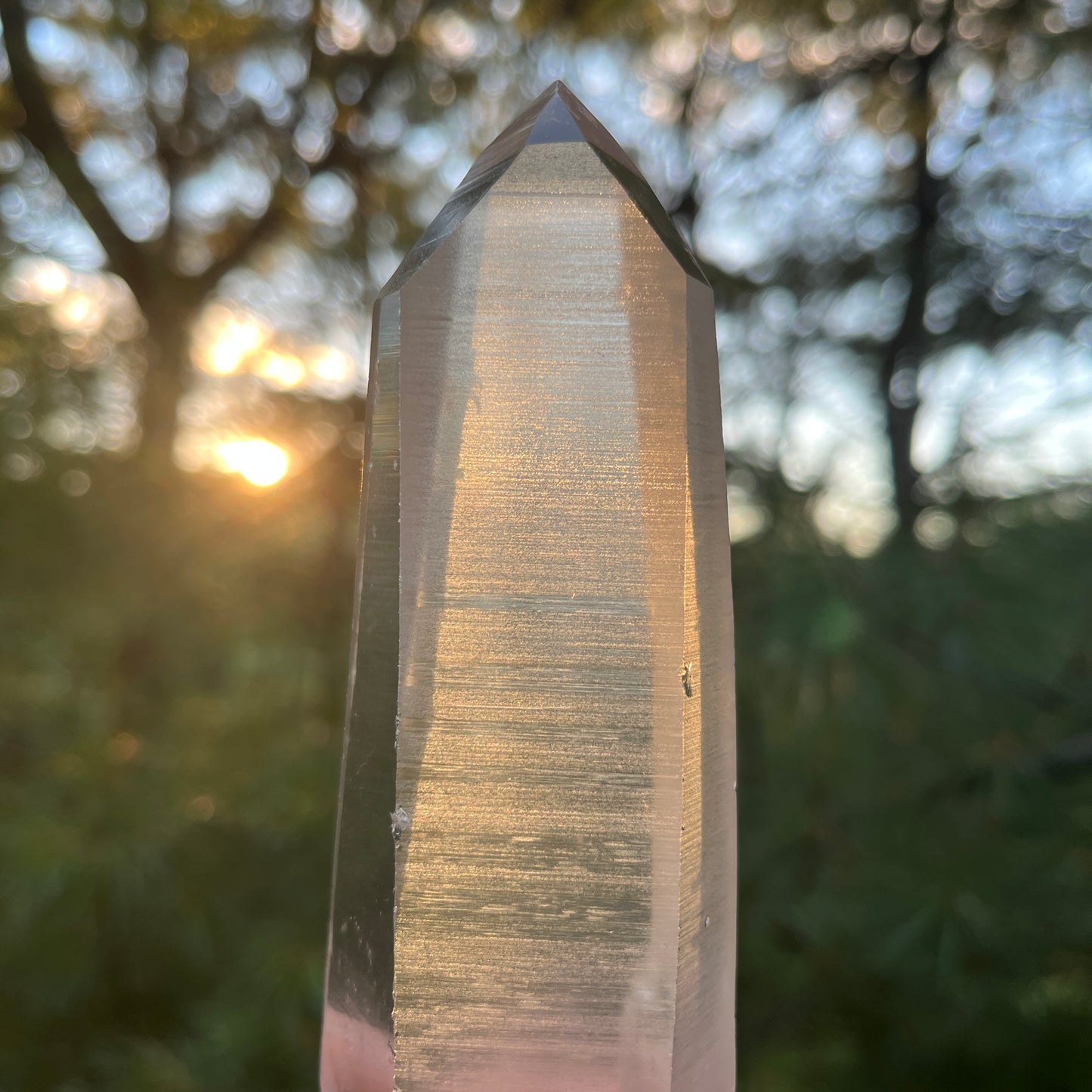 Unity Lemurian Seed Crystal