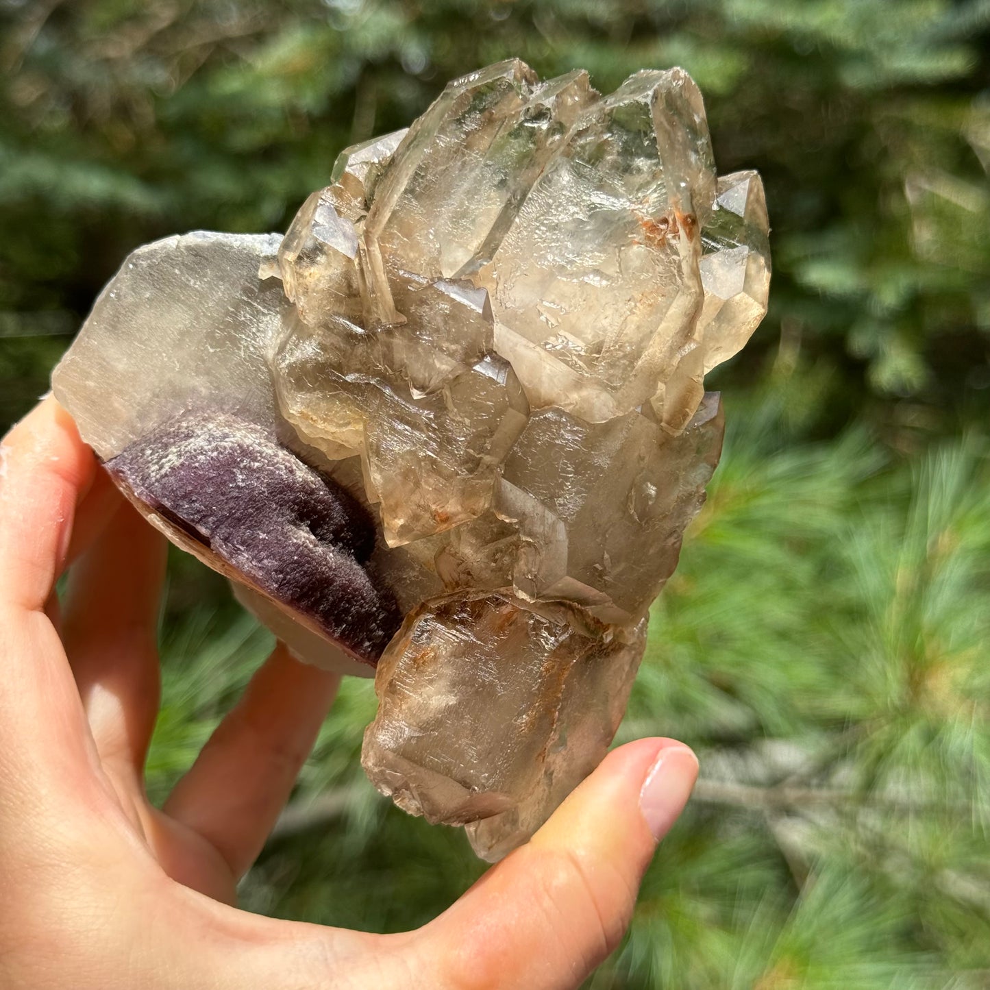 Smoky Quartz Lepidolite Crystal