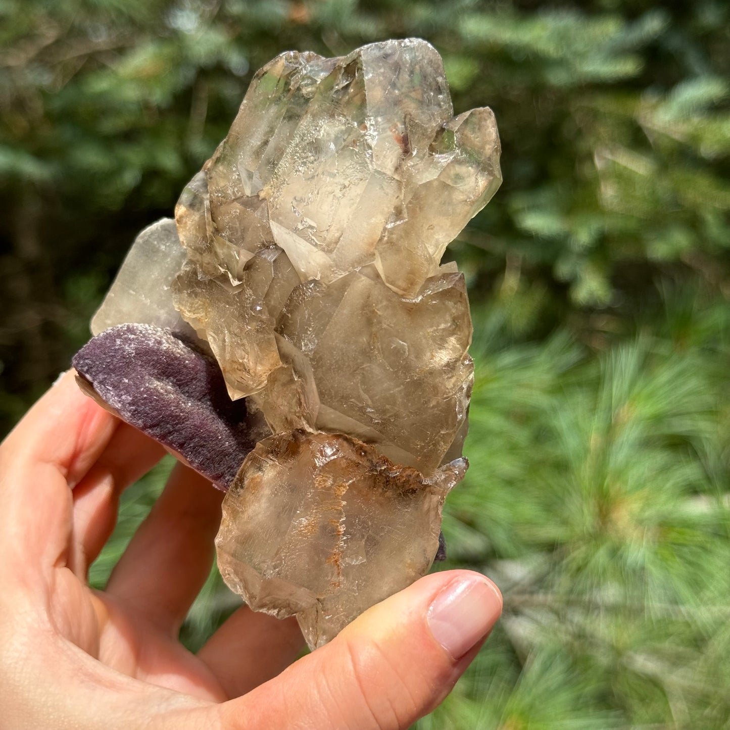 Smoky Quartz Lepidolite Crystal