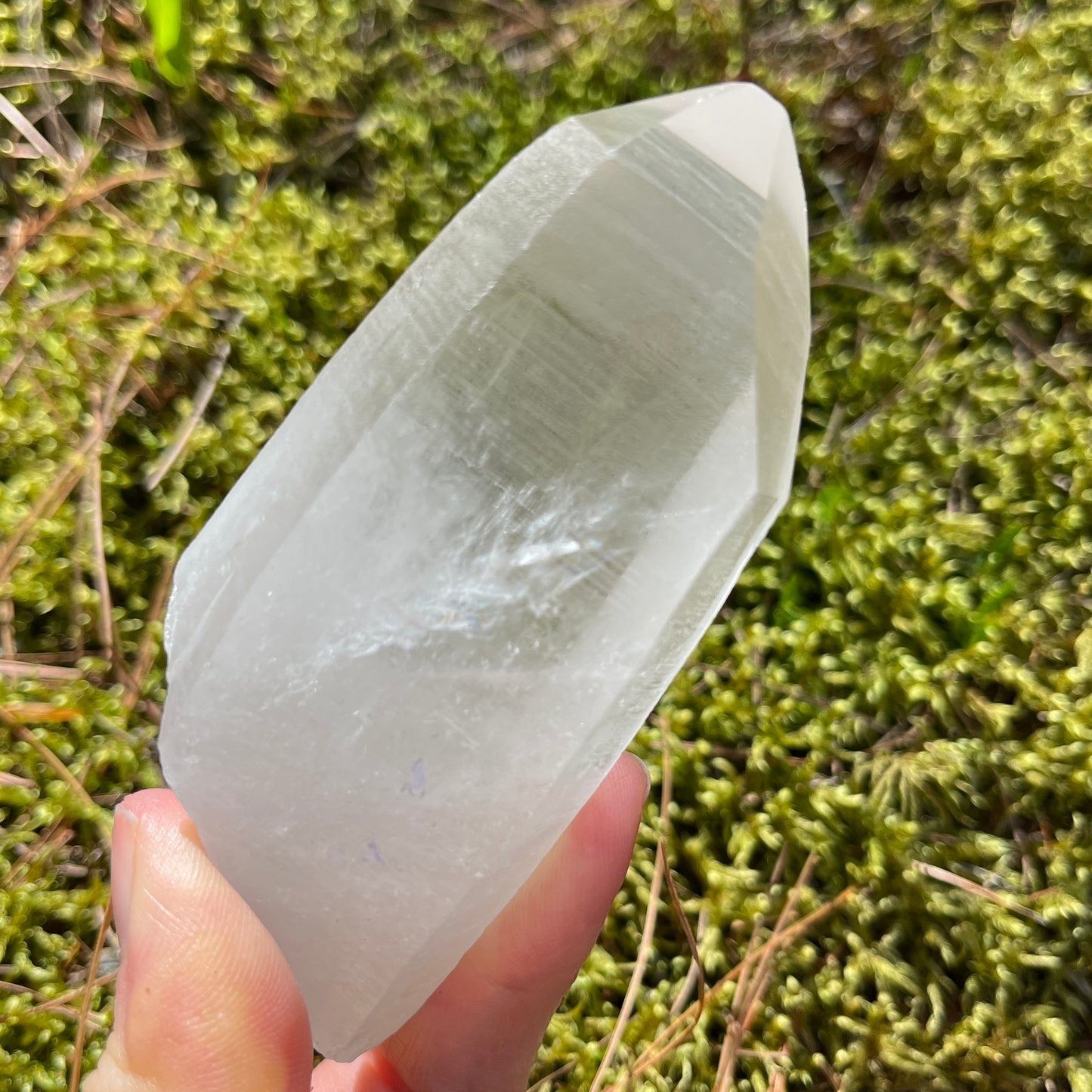 Unify Lemurian Seed Point