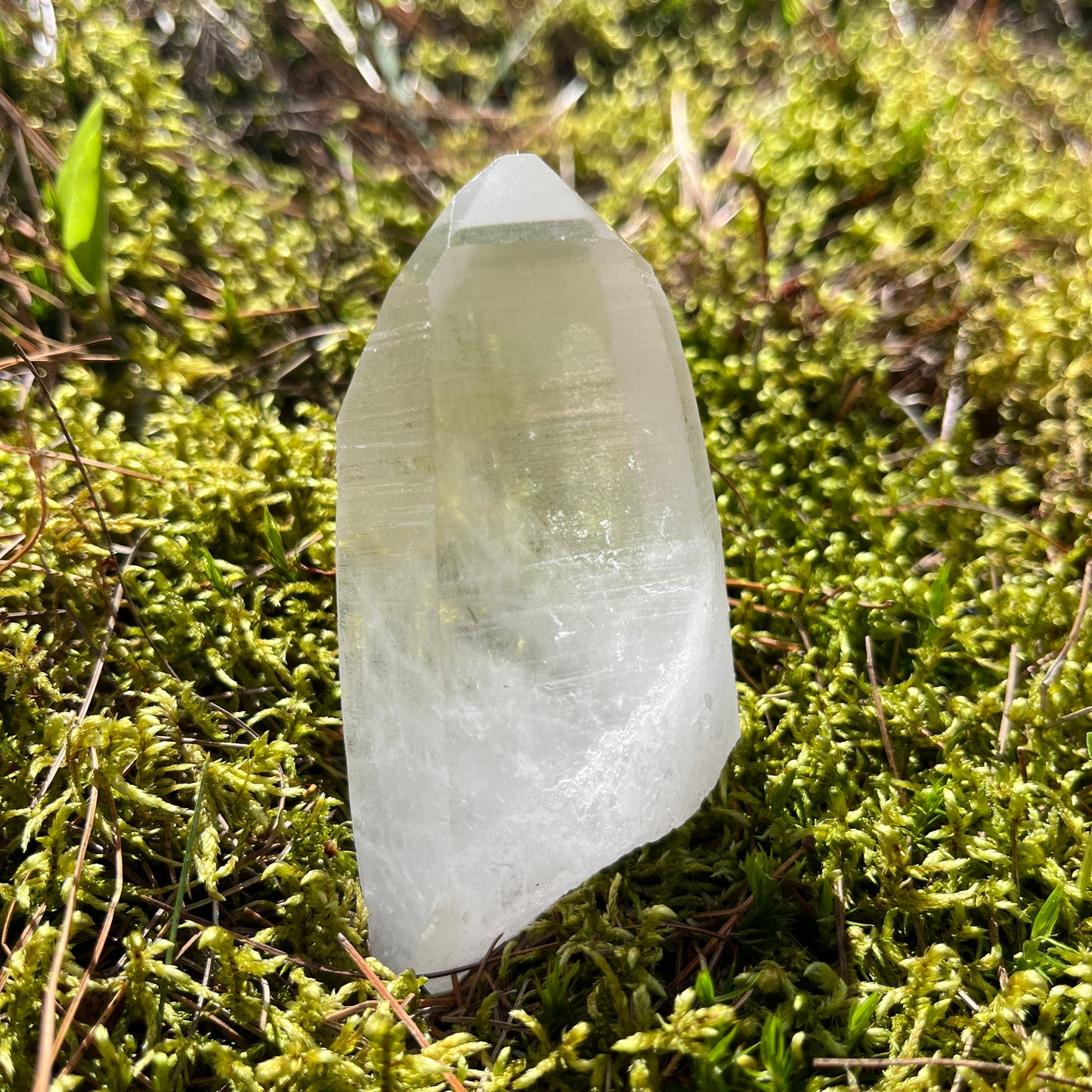 Unify Lemurian Seed Point
