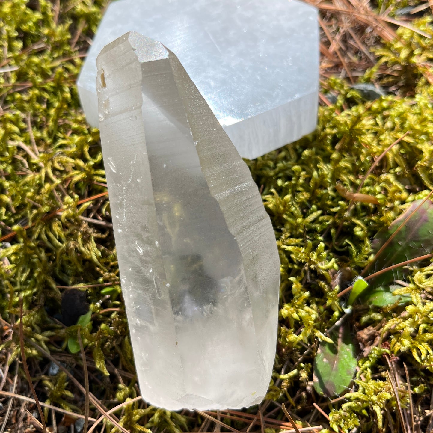 Portal Lemurian Seed Quartz Crystal Point