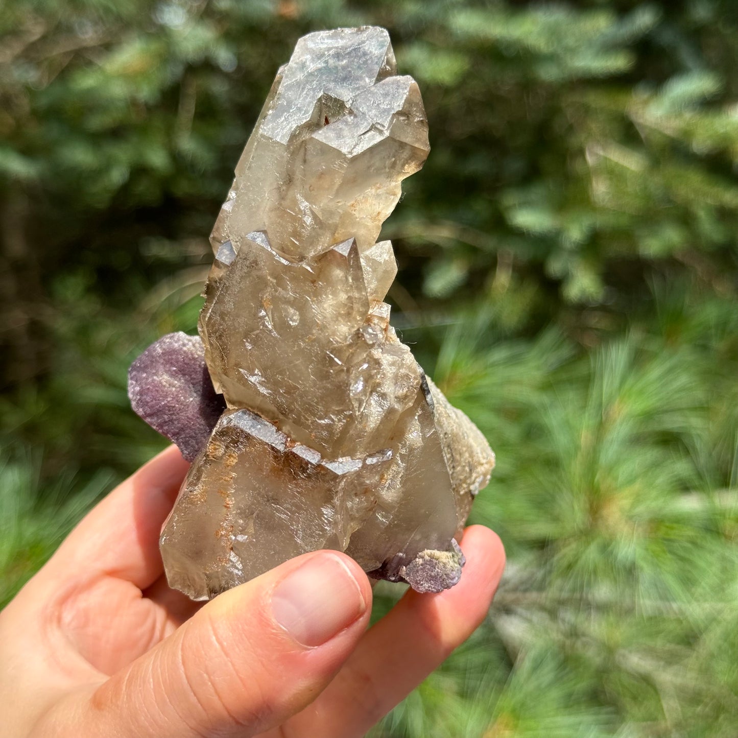 Smoky Quartz Lepidolite Crystal