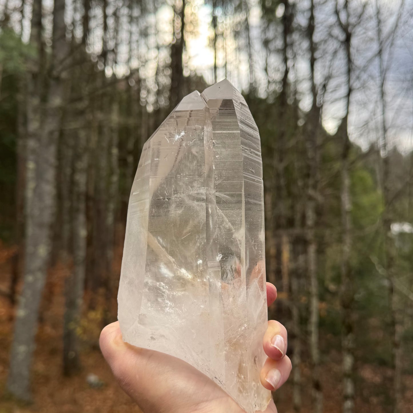 Portal Lemurian Seed Quartz Crystal Point