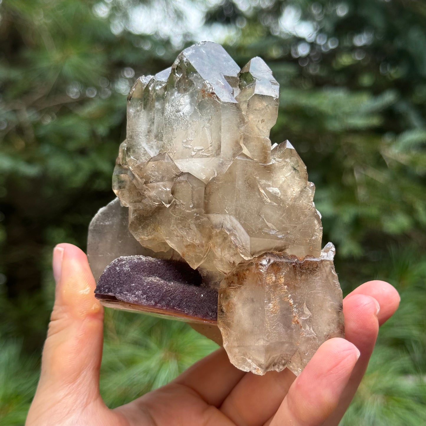 Smoky Quartz Lepidolite Crystal