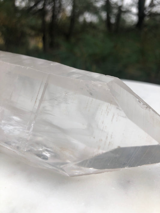 6" Lemurian Seed Crystal Point