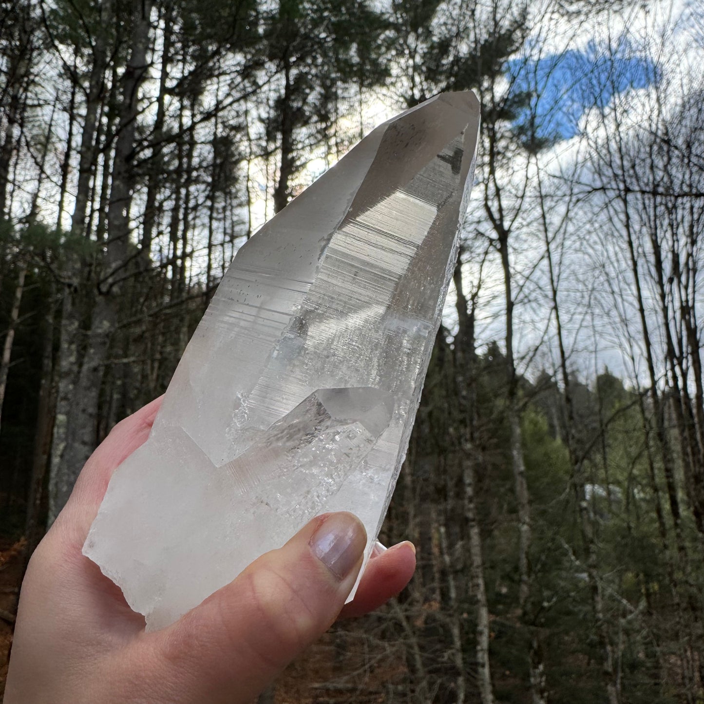 Person holding a large crystal in front of a forest background