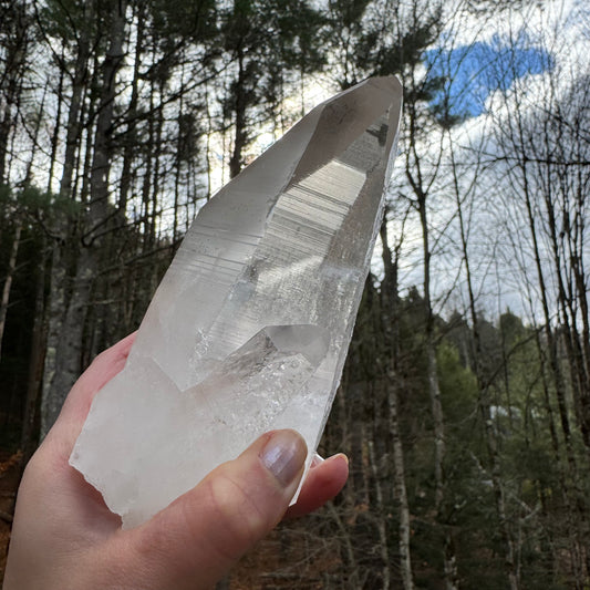 Person holding a large crystal in front of a forest background