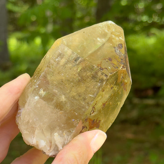 Brazilian Citrine Crystal