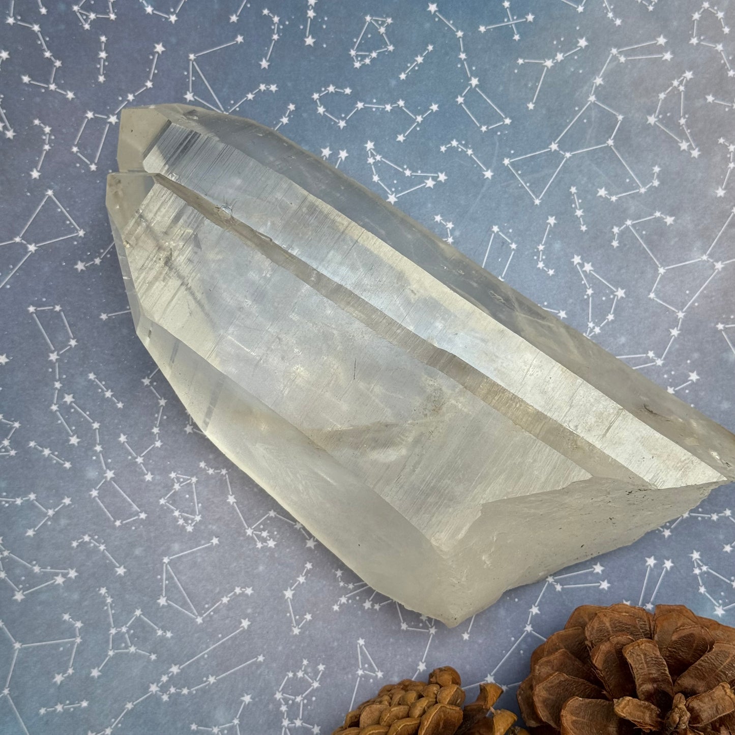 Portal Lemurian Seed Quartz Crystal Point