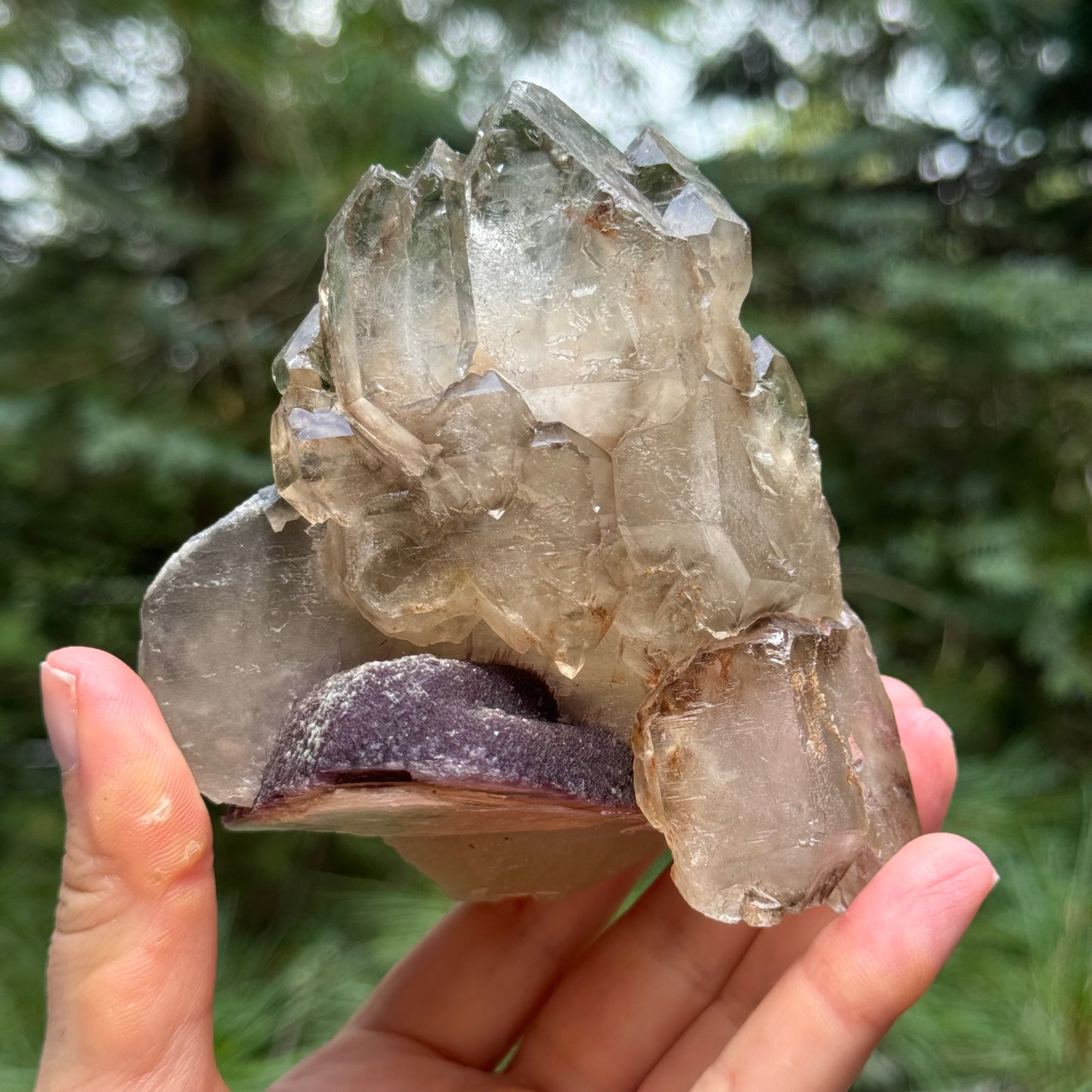 Smoky Quartz Lepidolite Crystal