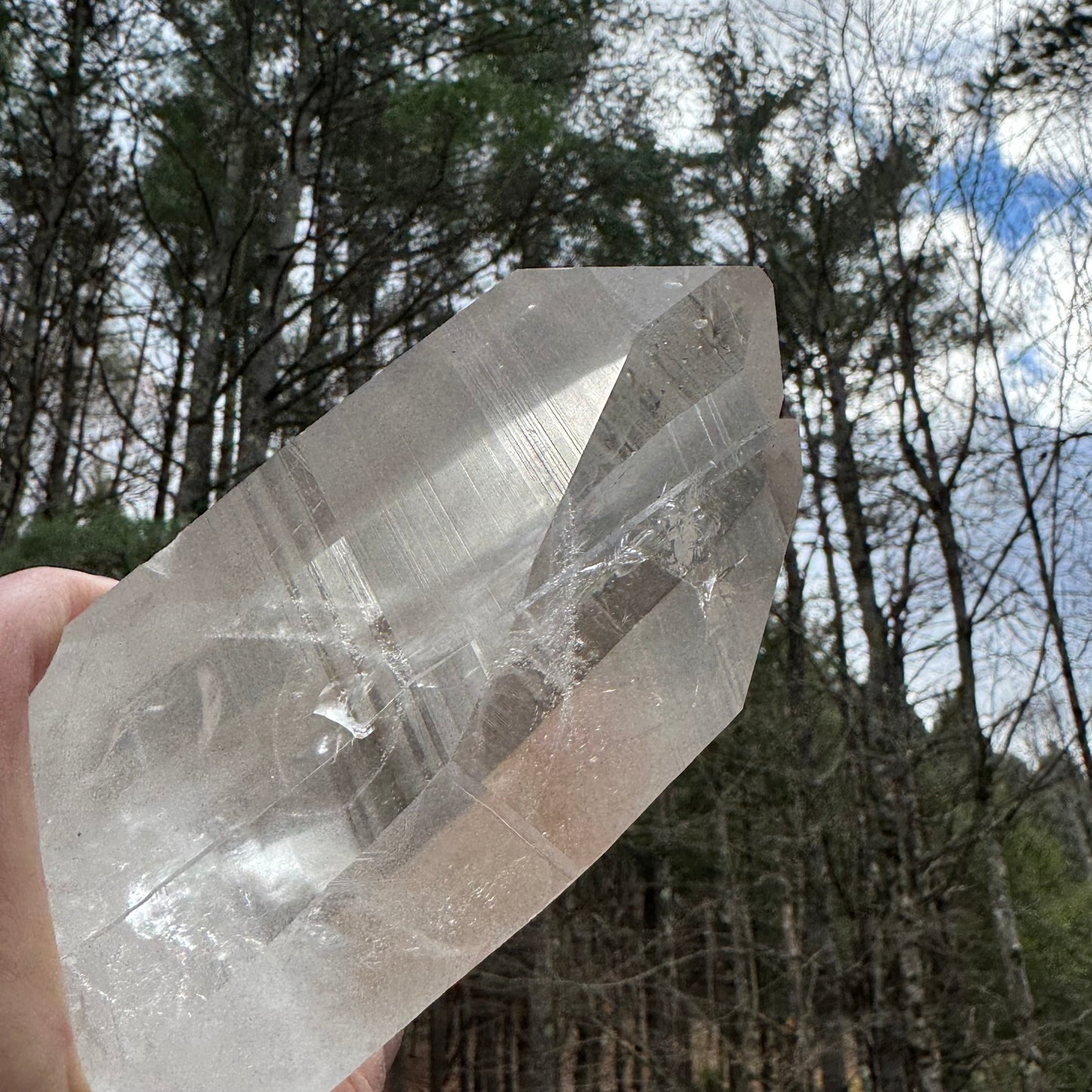 Portal Lemurian Seed Quartz Crystal Point