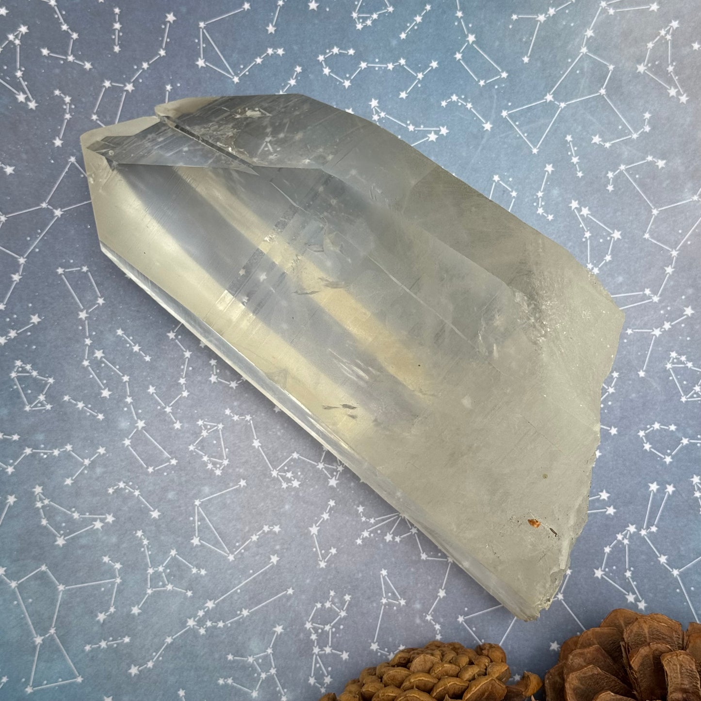 Portal Lemurian Seed Quartz Crystal Point