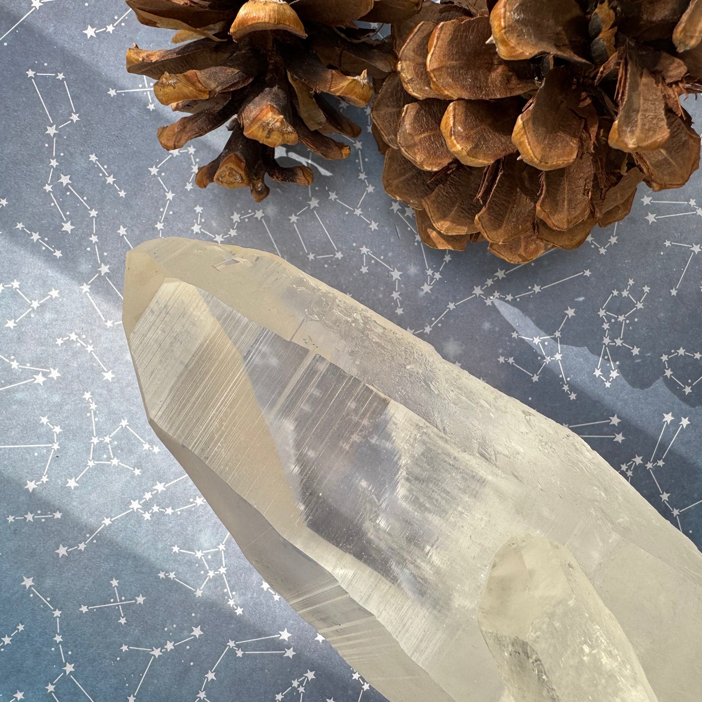 Lemurian Seed Crystal Wand