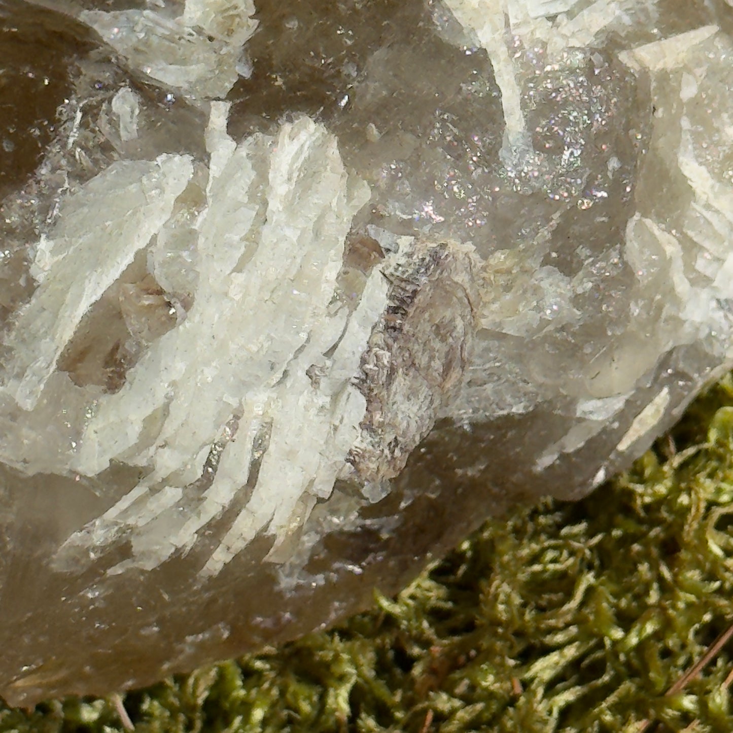 Brazilian Citrine Crystal