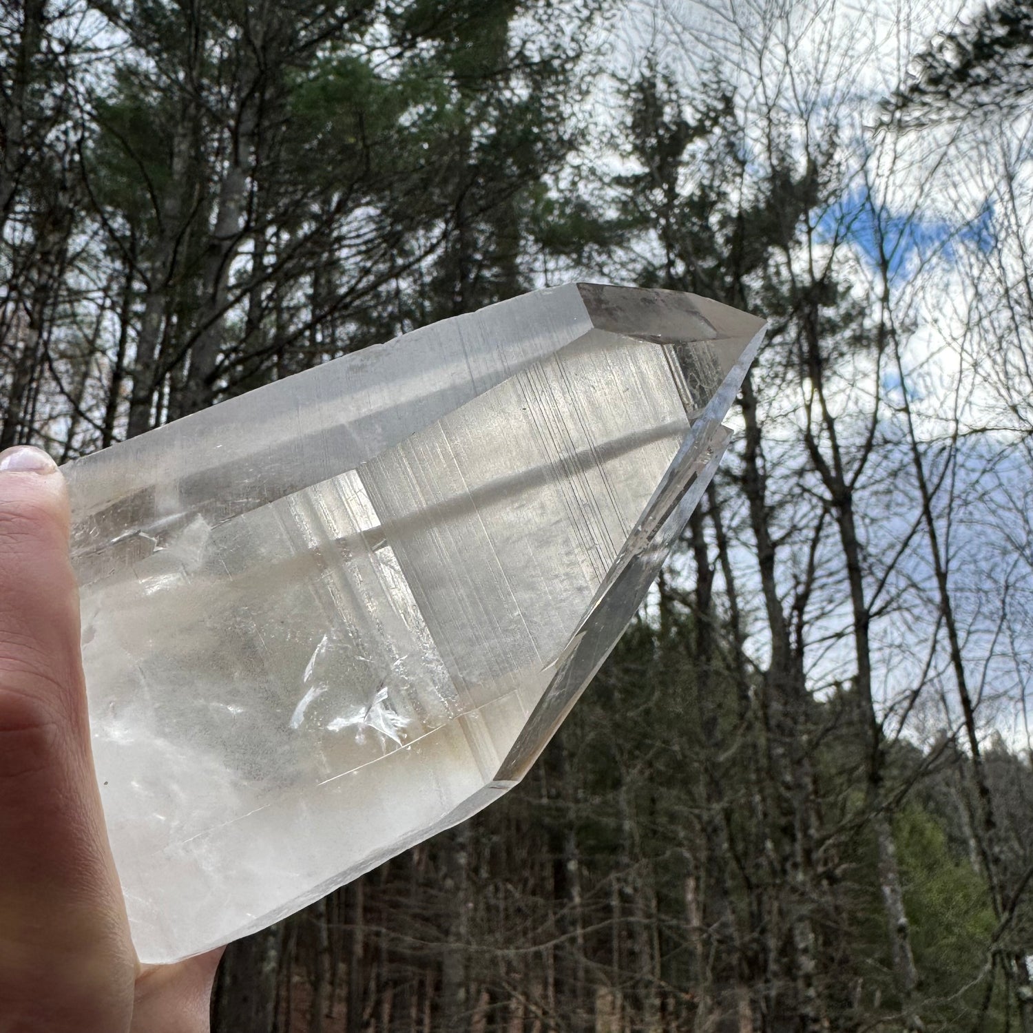 Clear crystal held in front of a forest background