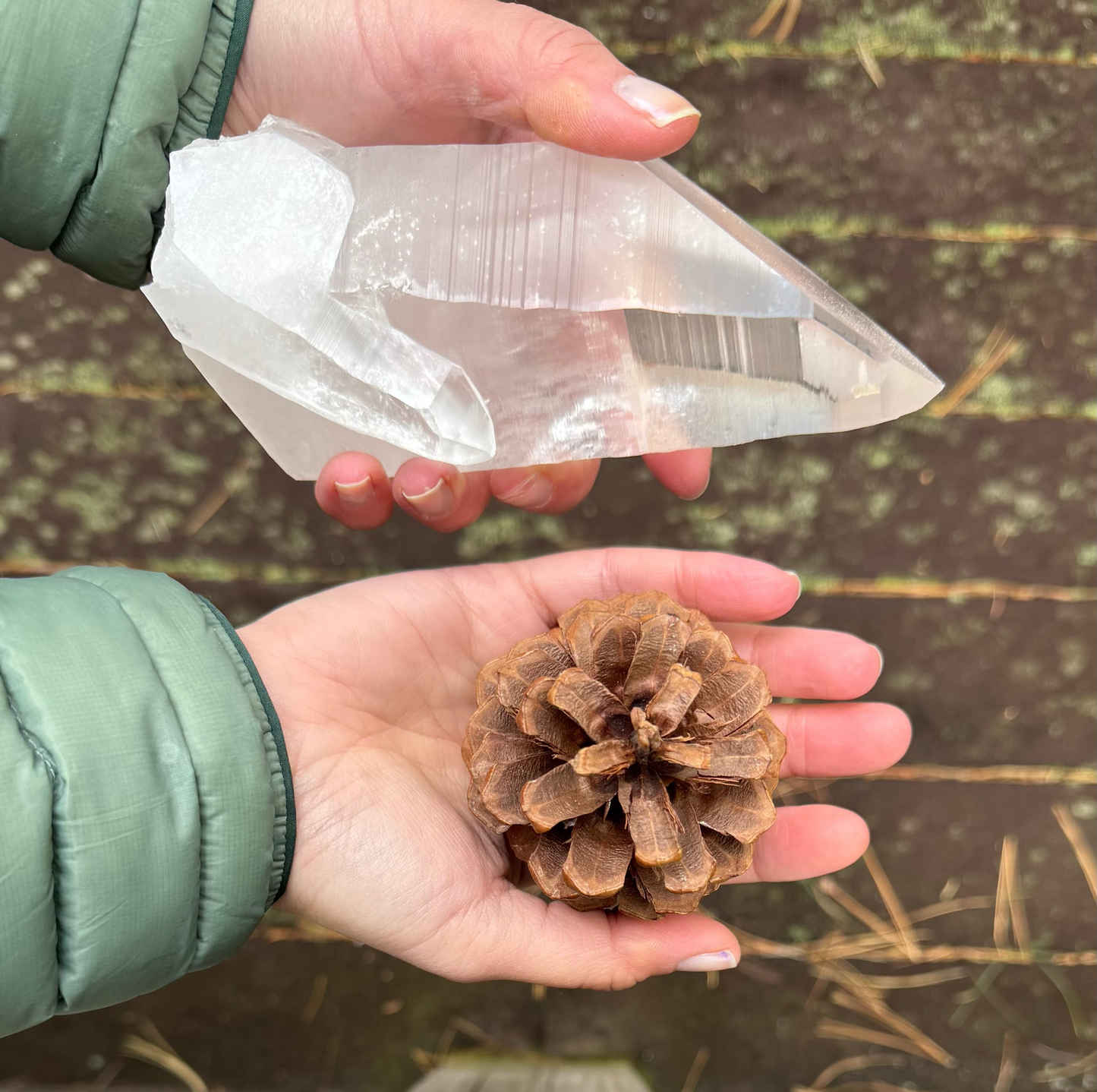 Person holding a clear crystal and a pine cone on a wooden surface