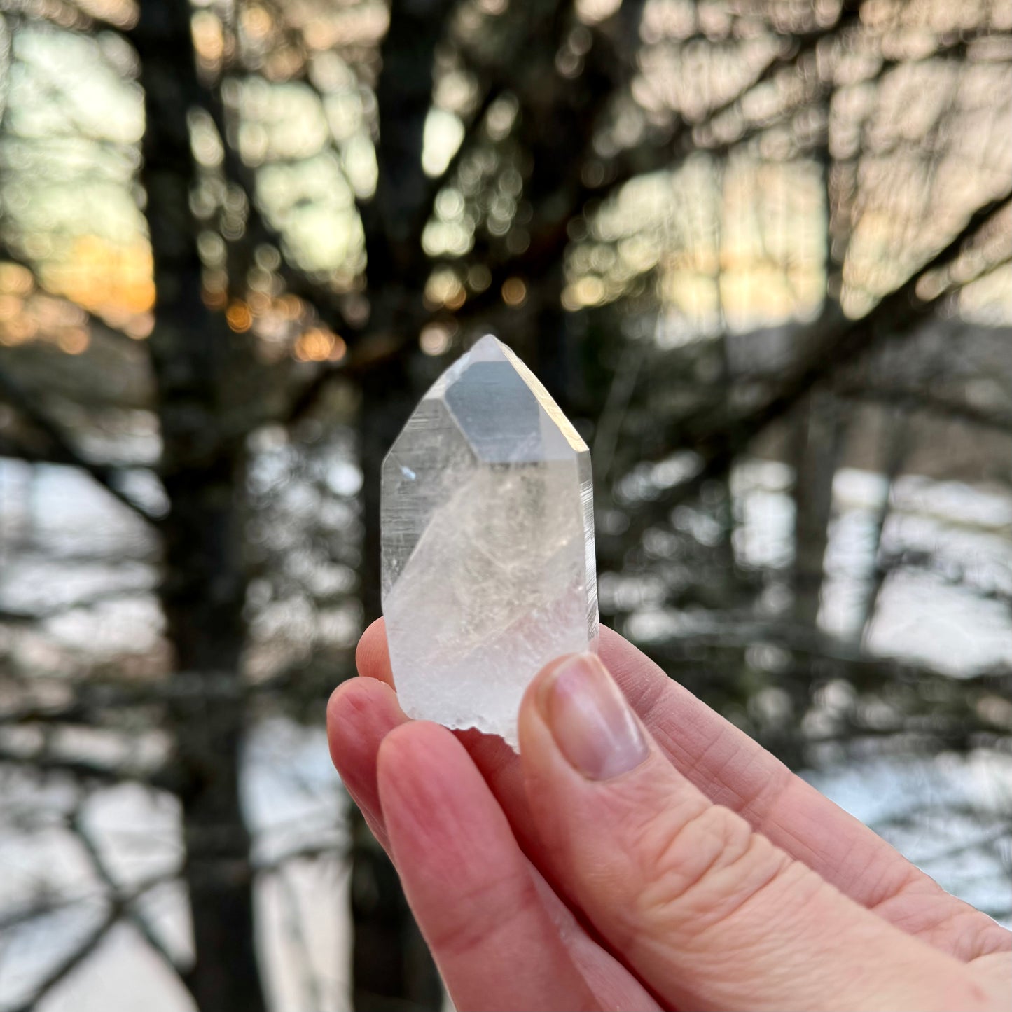 Peaceful Point Lemurian Seed Quartz Crystal