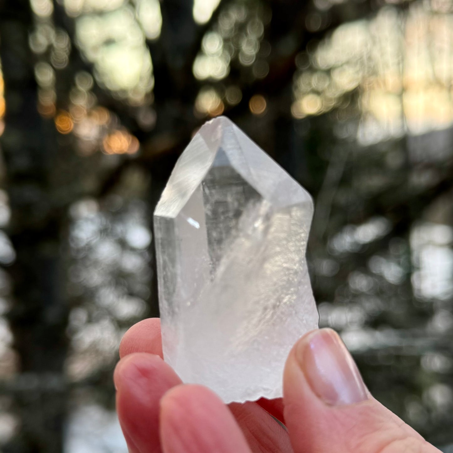 Peaceful Point Lemurian Seed Quartz Crystal