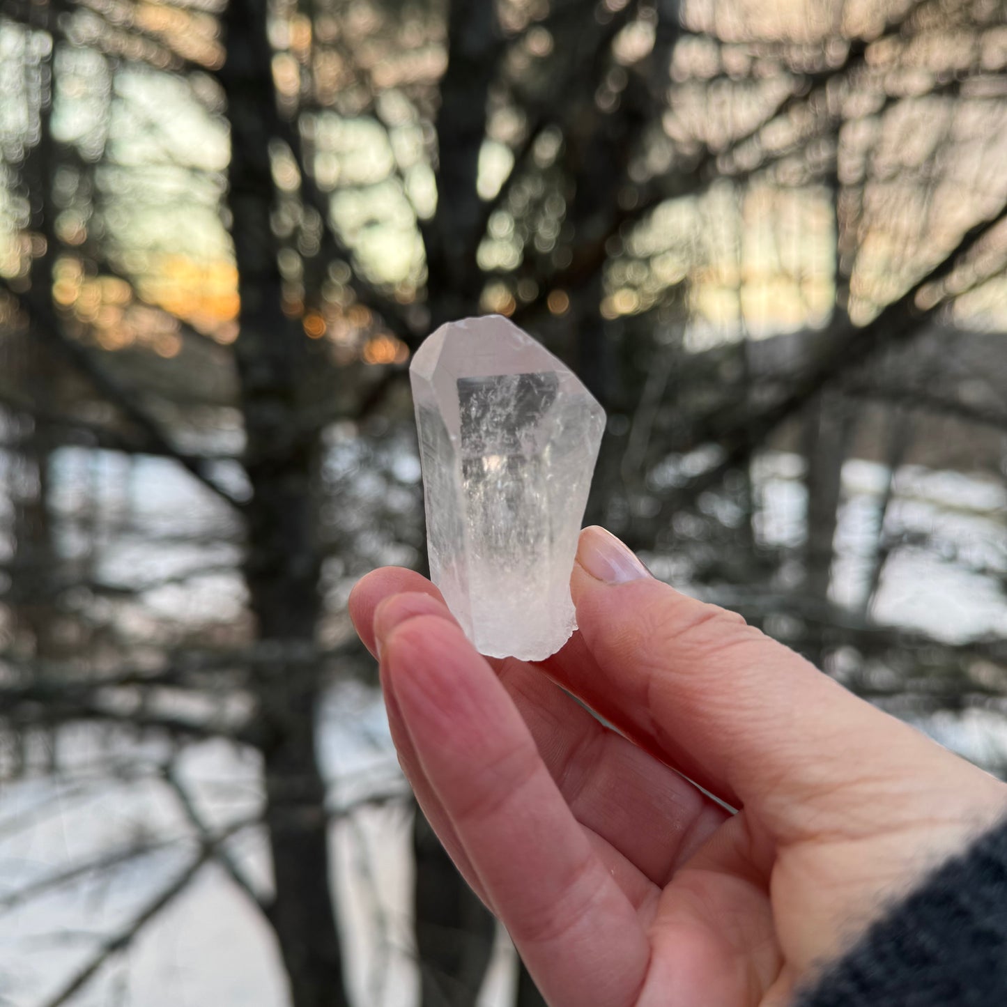 Peaceful Point Lemurian Seed Quartz Crystal