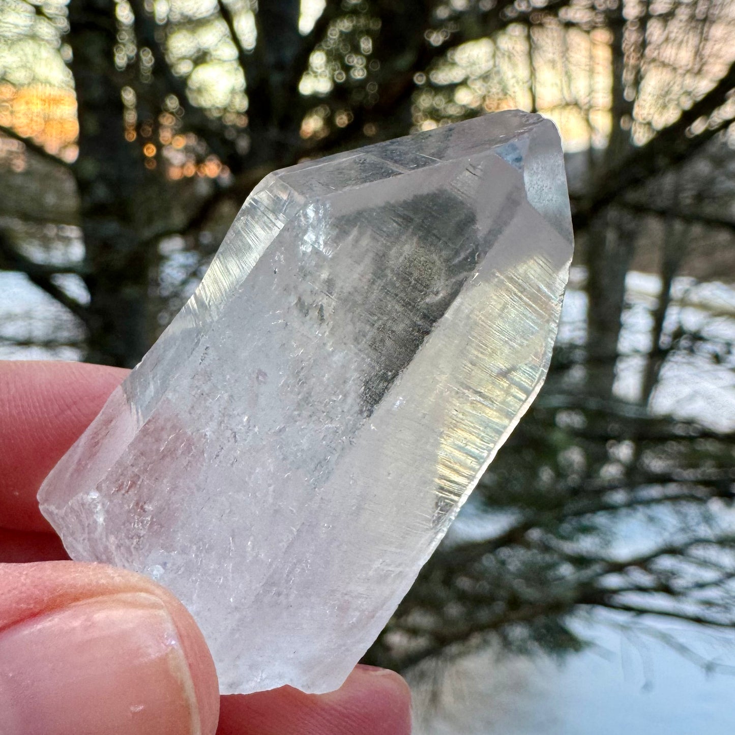 Peaceful Point Lemurian Seed Quartz Crystal