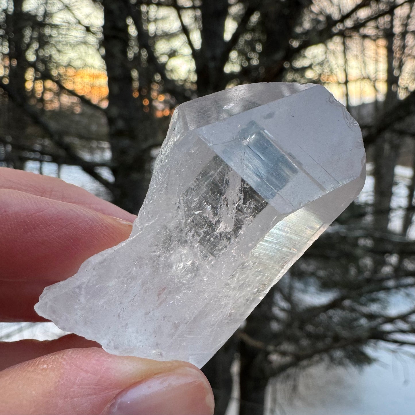 Peaceful Point Lemurian Seed Quartz Crystal