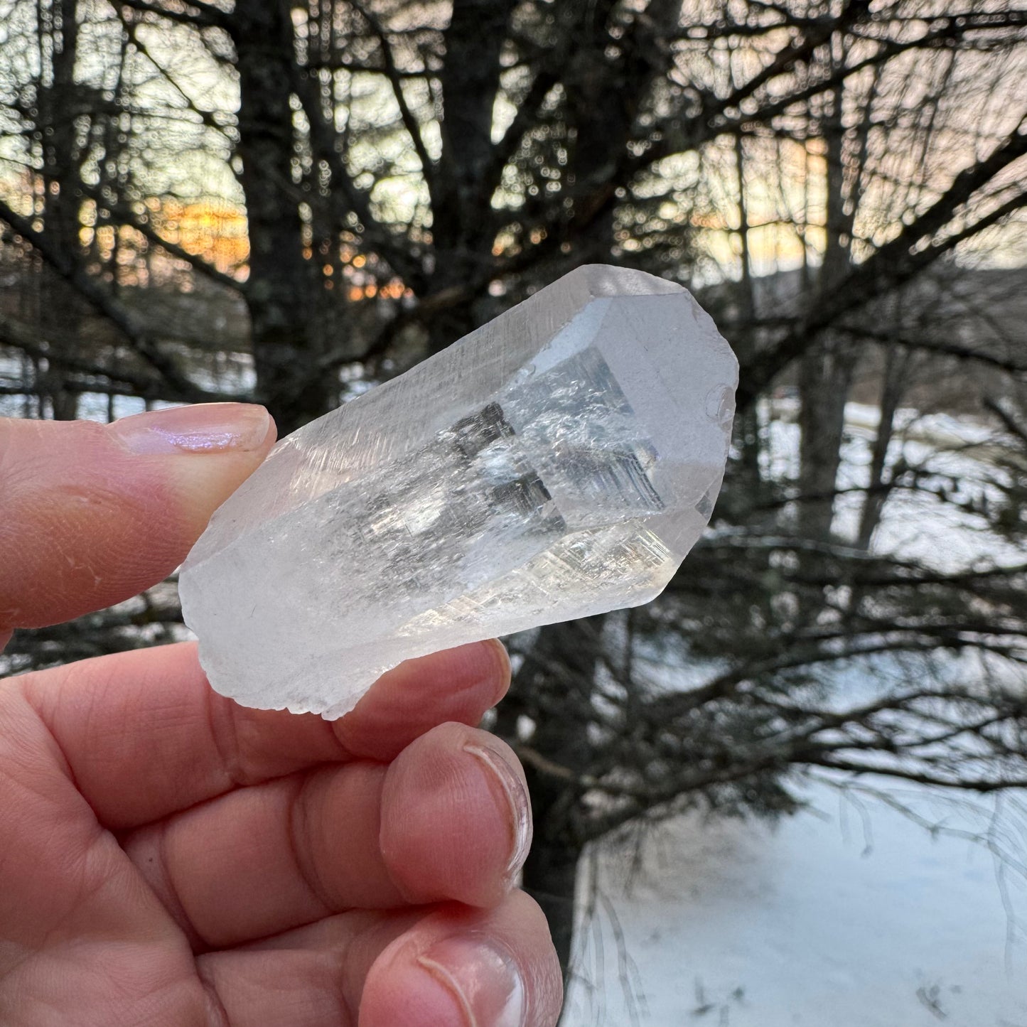 Peaceful Point Lemurian Seed Quartz Crystal