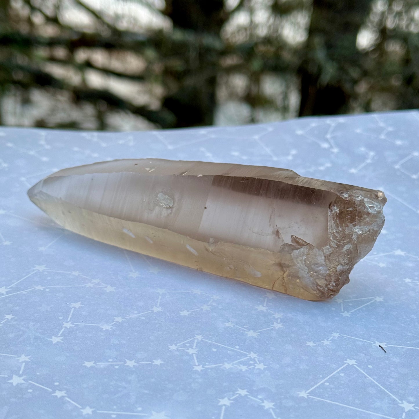 Smoky Lemurian Seed Crystal Wand