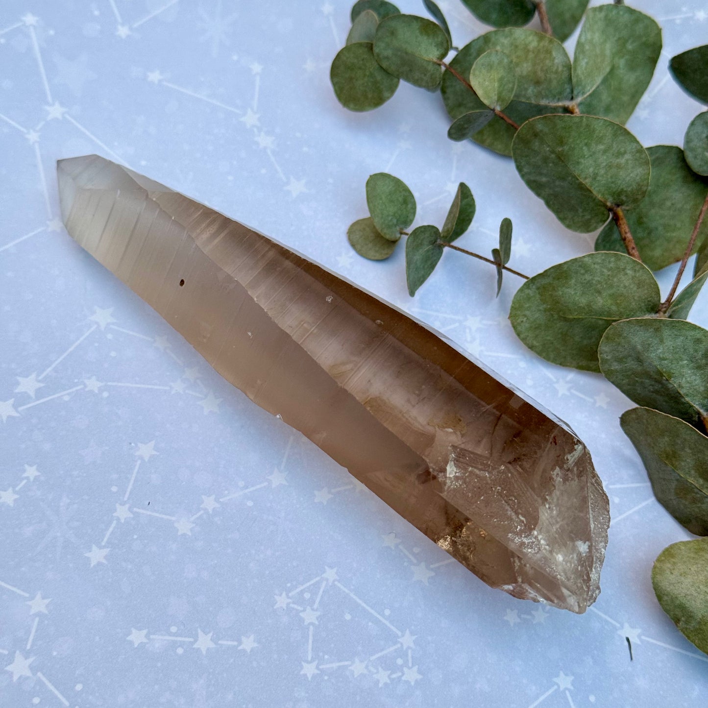 Smoky Lemurian Seed Crystal Wand