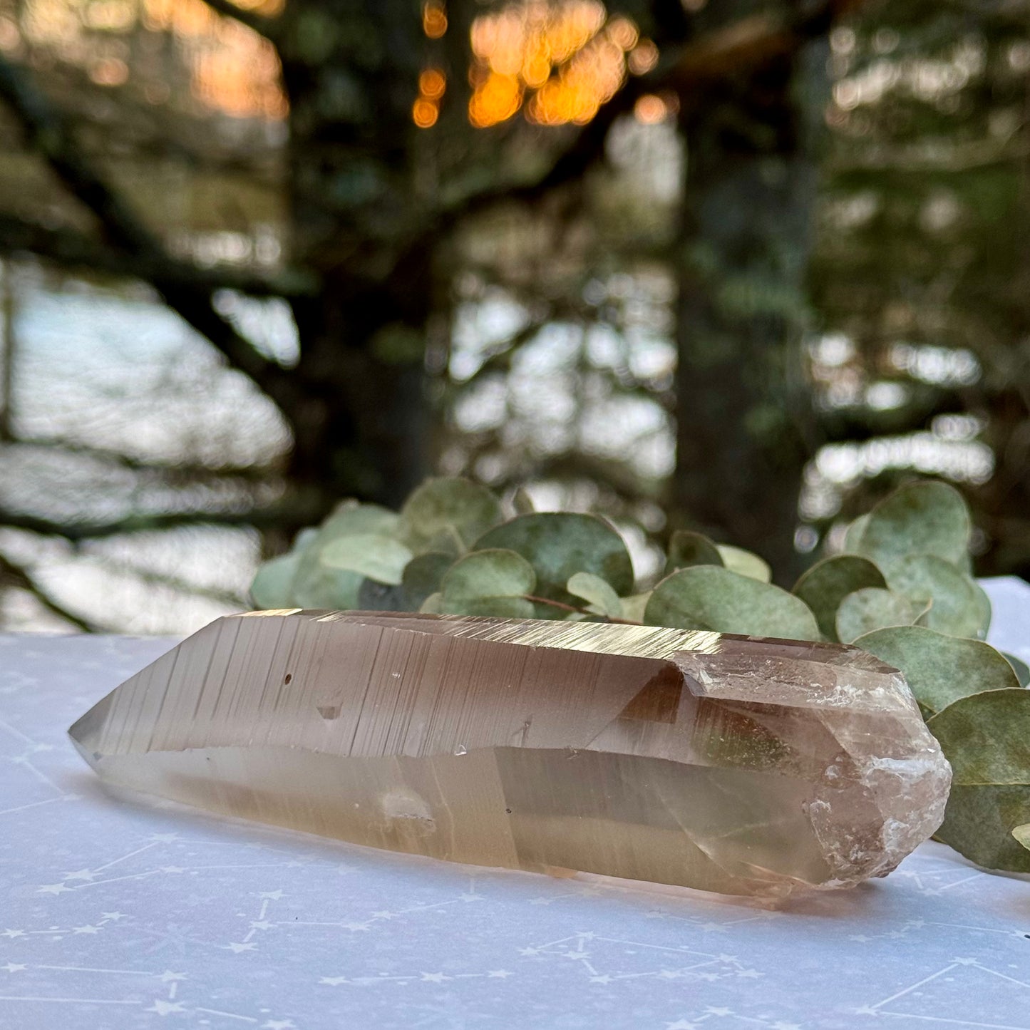 Smoky Lemurian Seed Crystal Wand