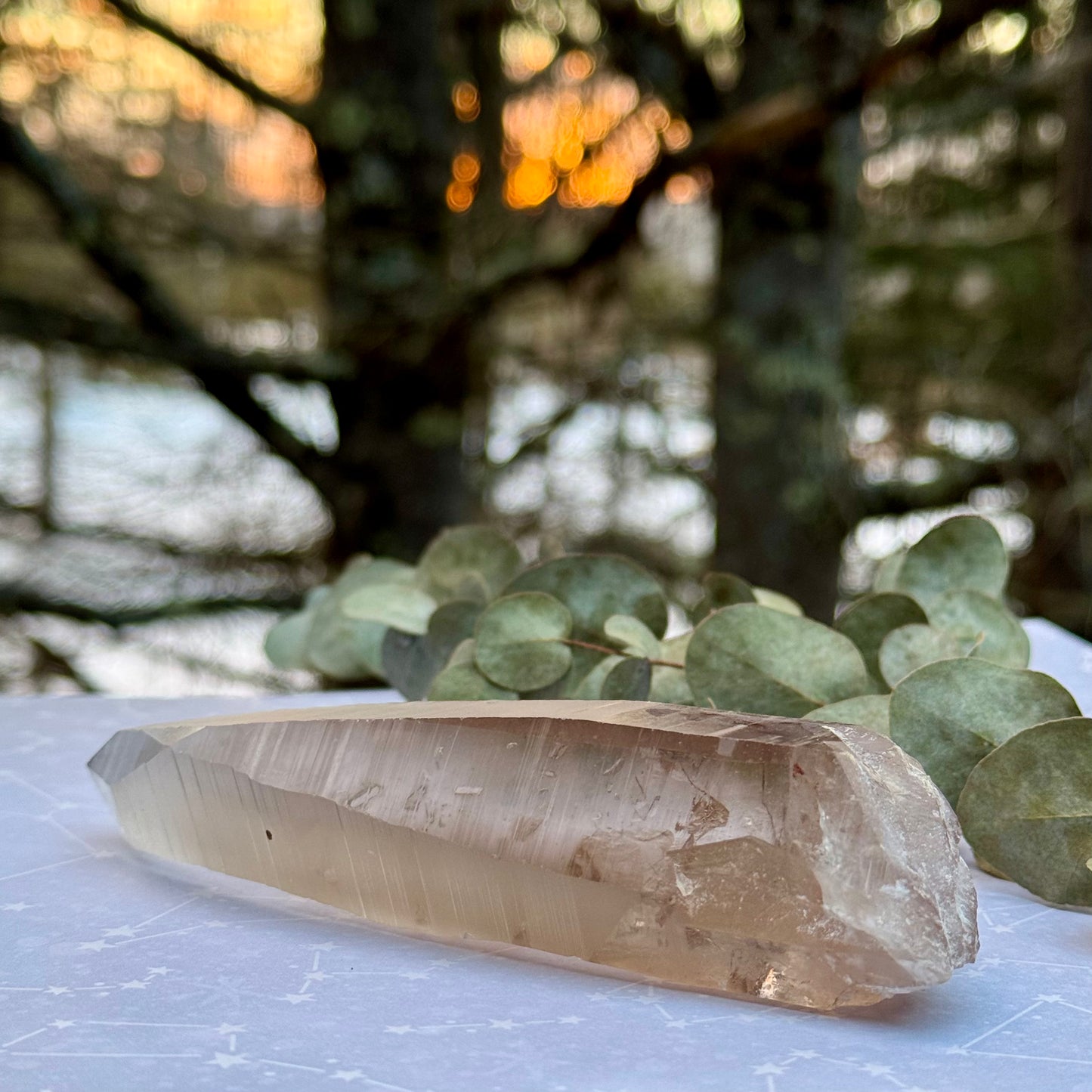 Smoky Lemurian Seed Crystal Wand