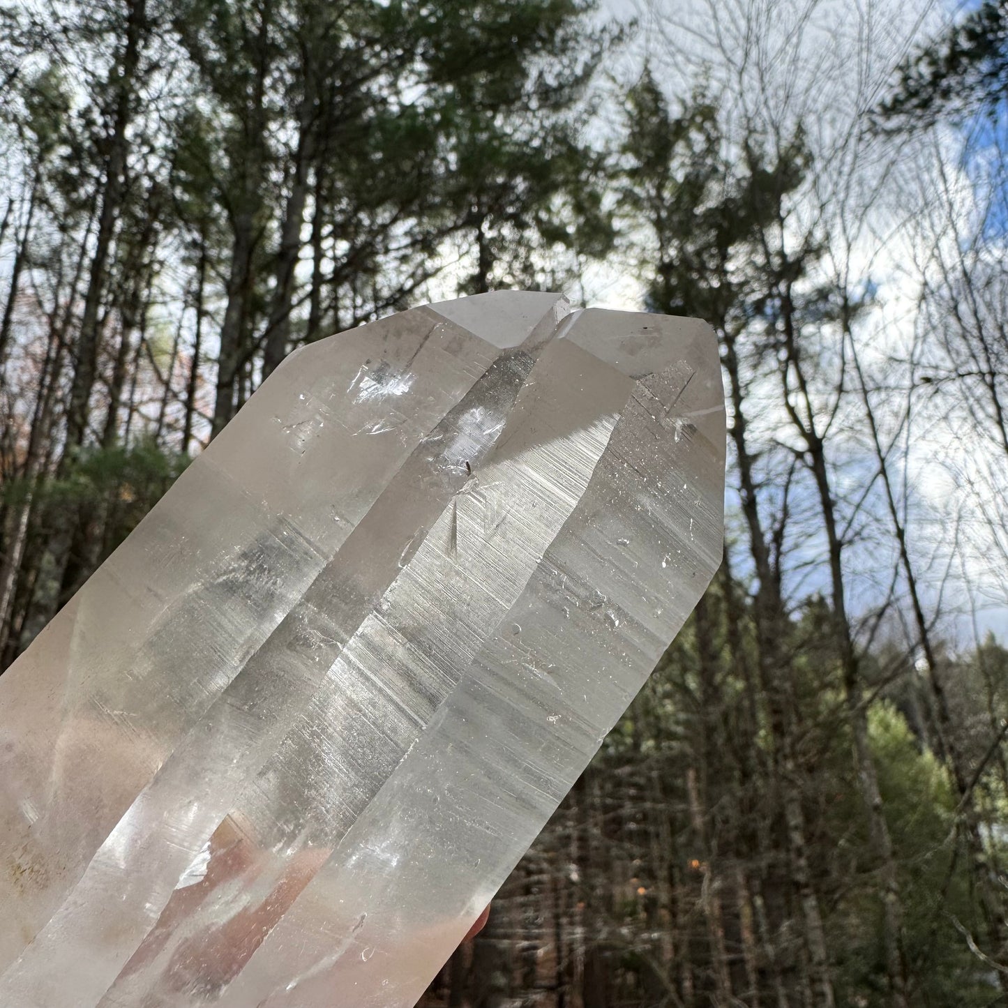 Clear crystal held in front of a forest background