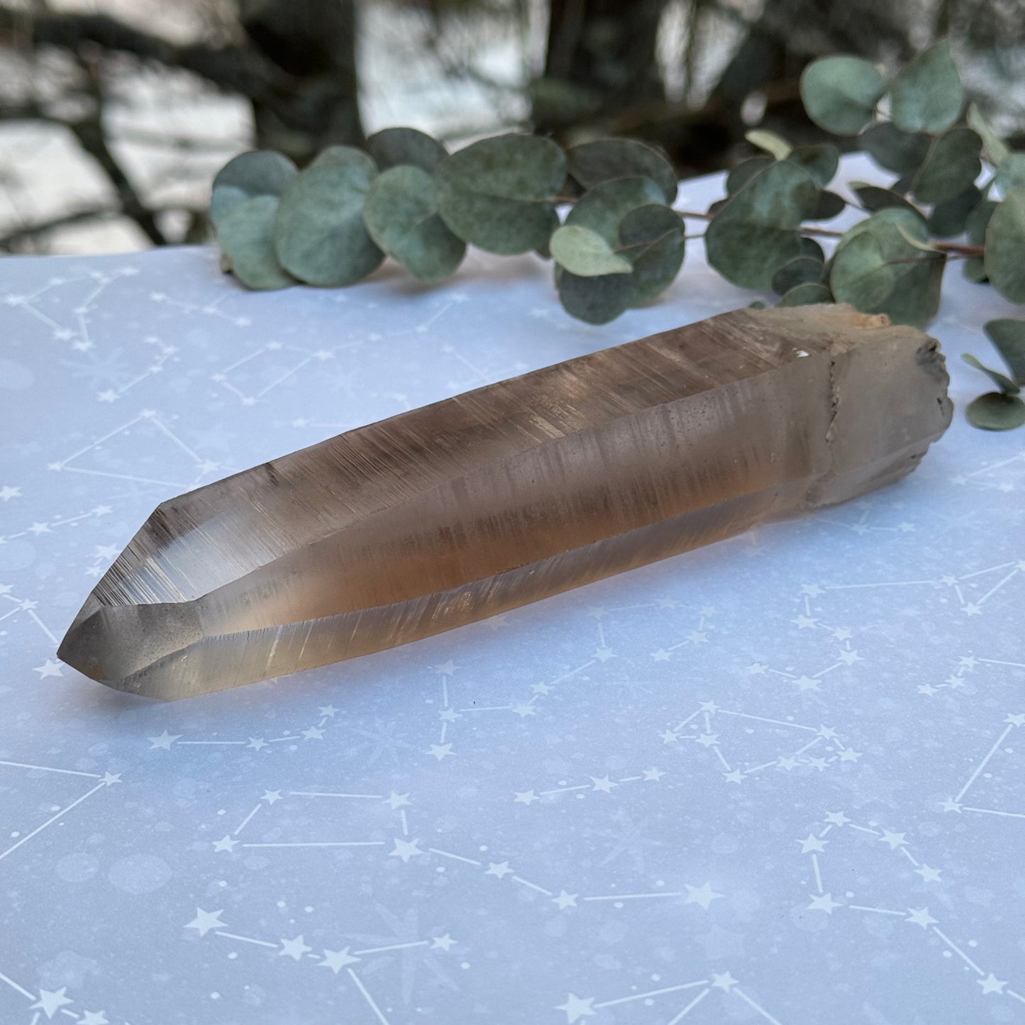 Smoky Lemurian Seed Quartz Point Crystal