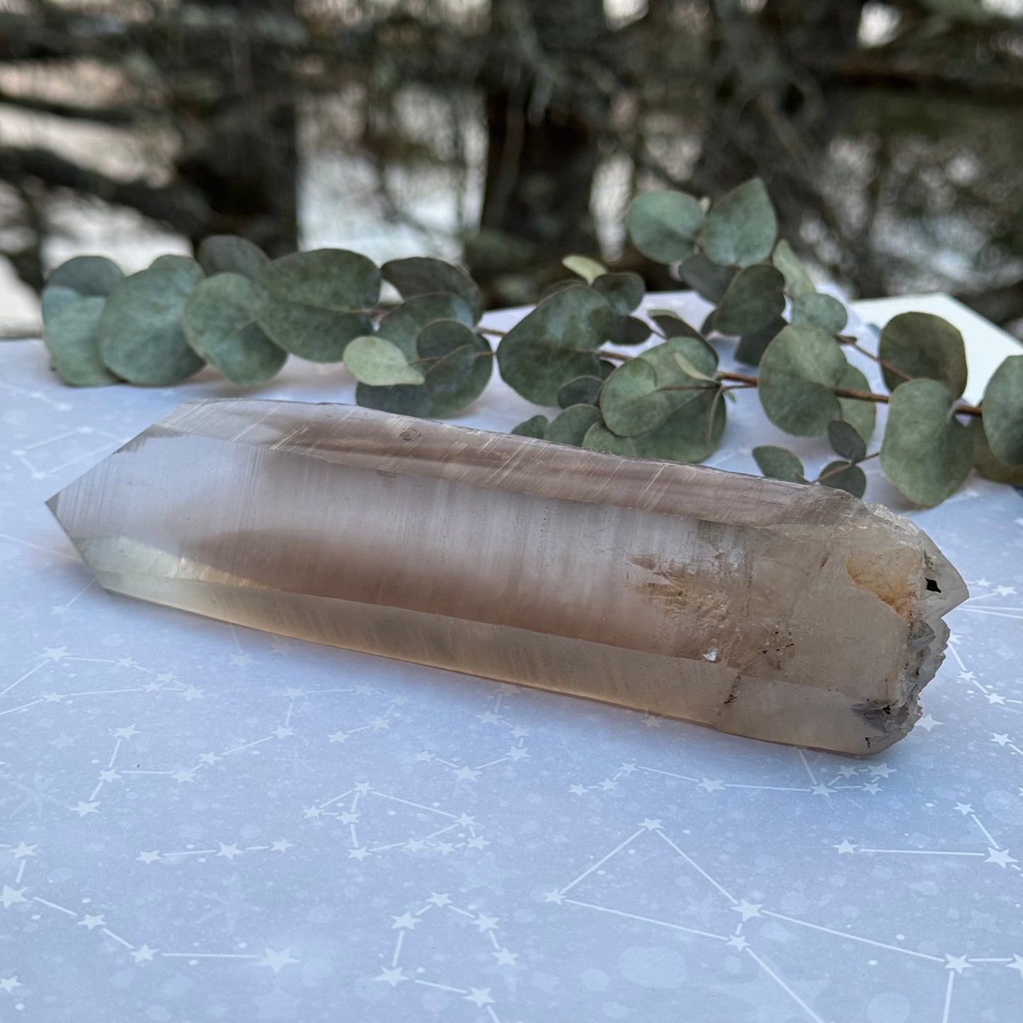 Smoky Lemurian Seed Quartz Point Crystal