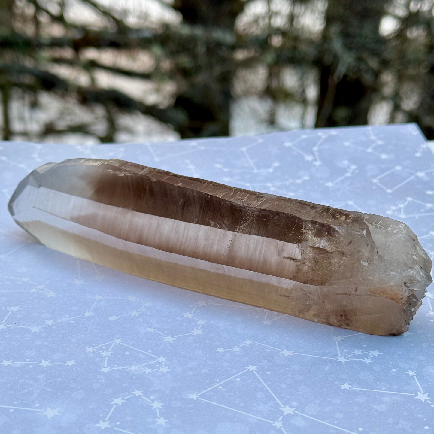 Smoky Lemurian Seed Quartz Point Crystal