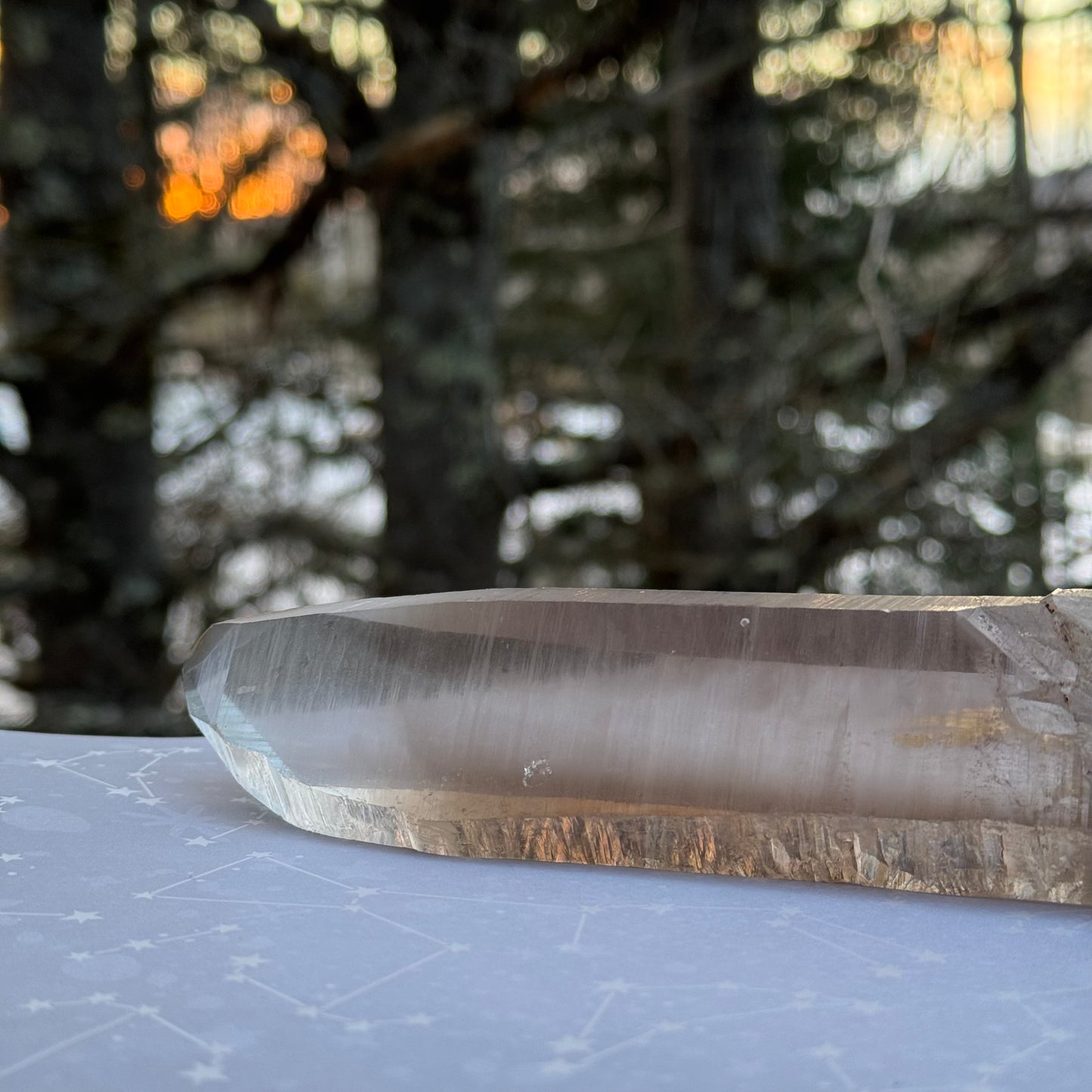 Smoky Lemurian Seed Quartz Point Crystal