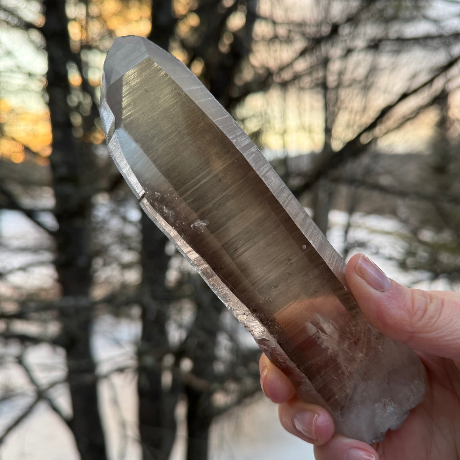 brazilian crystal specimen smoky lemurian quartz