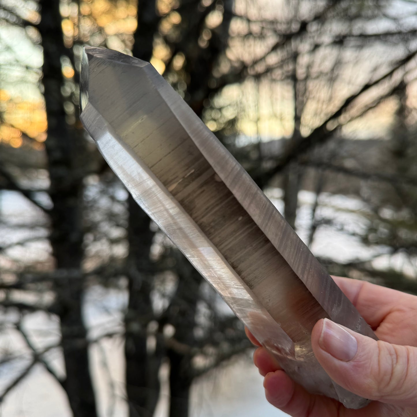 Smoky Lemurian Seed Quartz Point Crystal