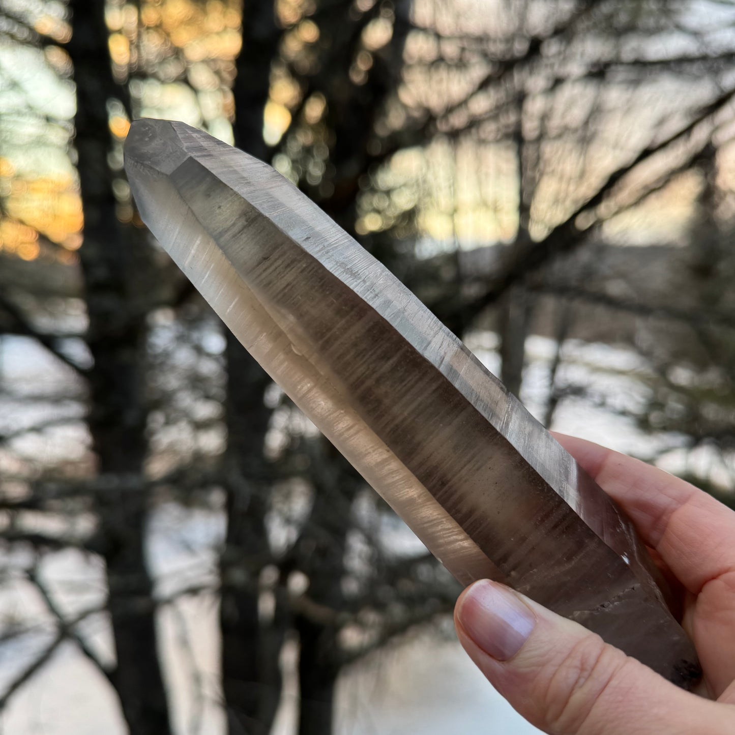 Smoky Lemurian Seed Quartz Point Crystal