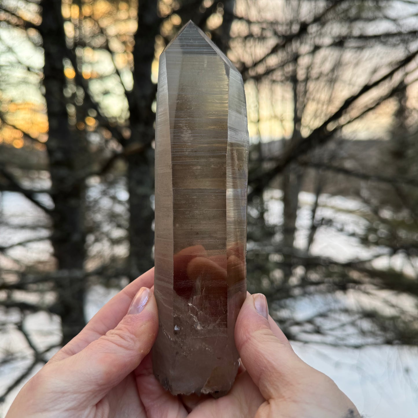 Smoky Lemurian Seed Quartz Point Crystal