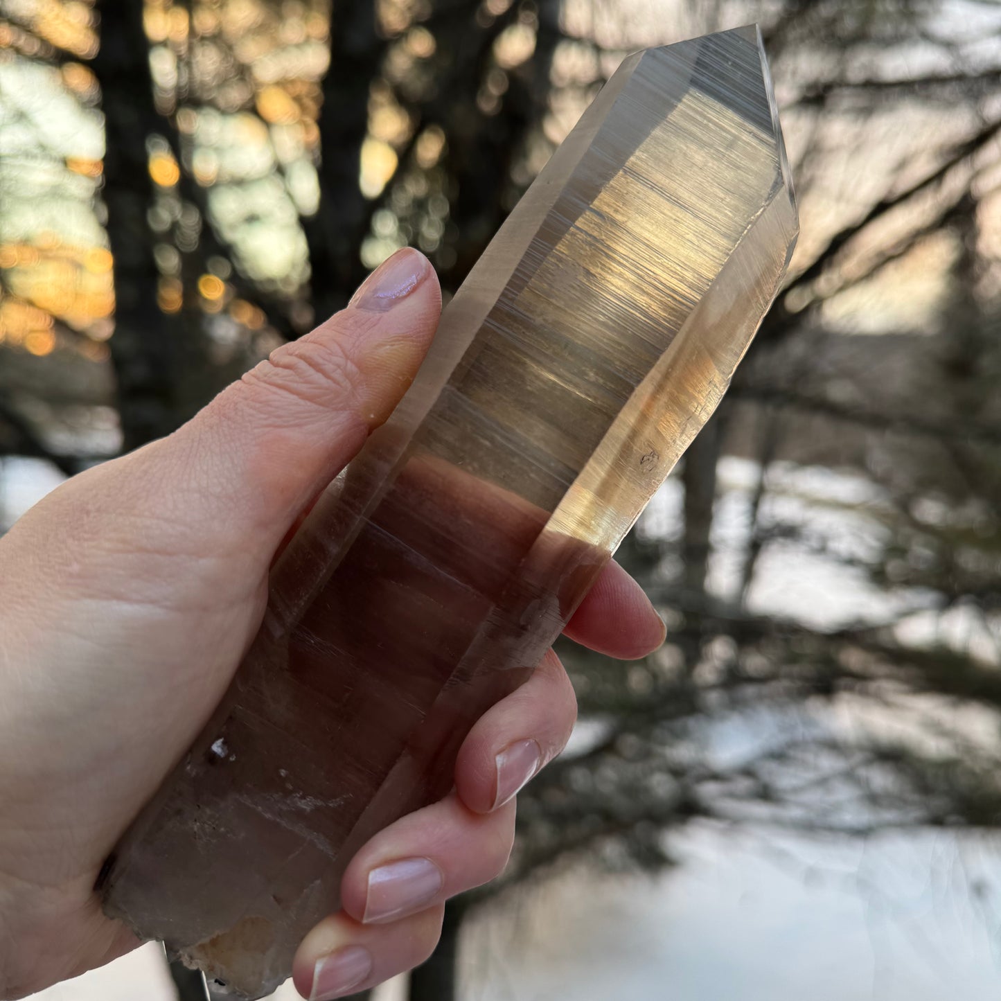 Smoky Lemurian Seed Quartz Point Crystal