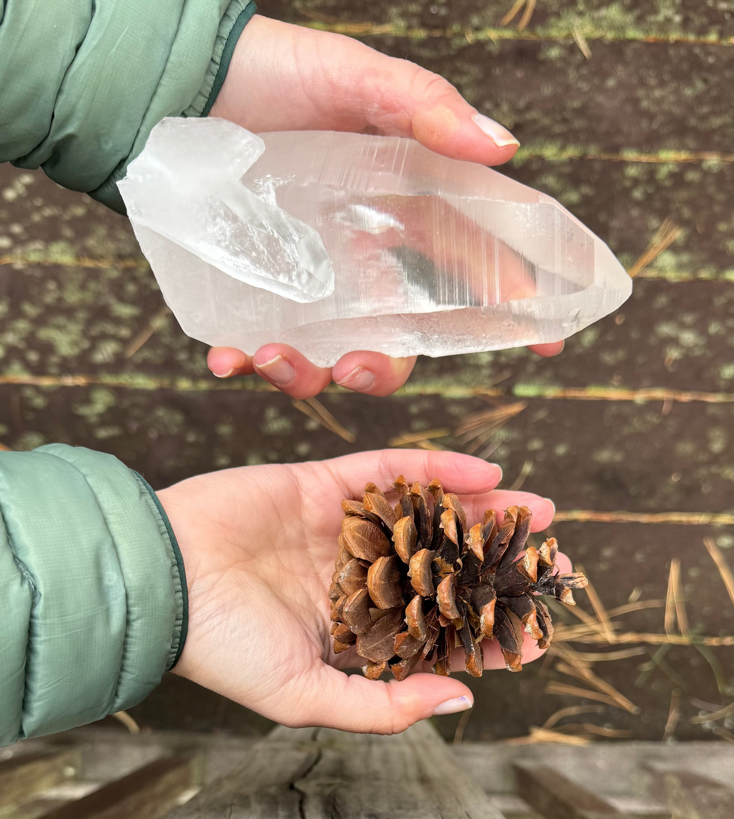 Person holding a clear healing crystal and a pine cone for scale. 