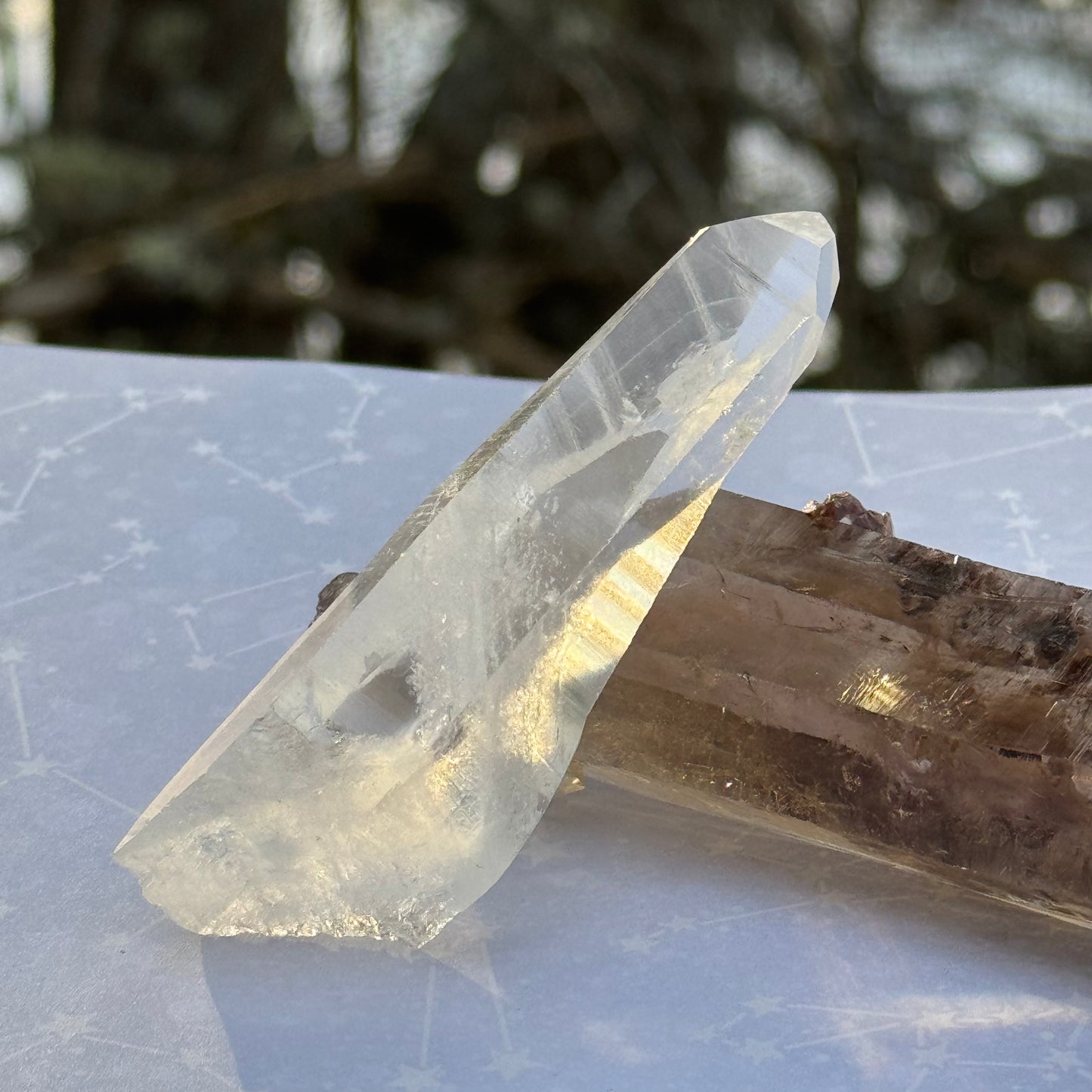 Healing HandHeld Lemurian Seed Crystal