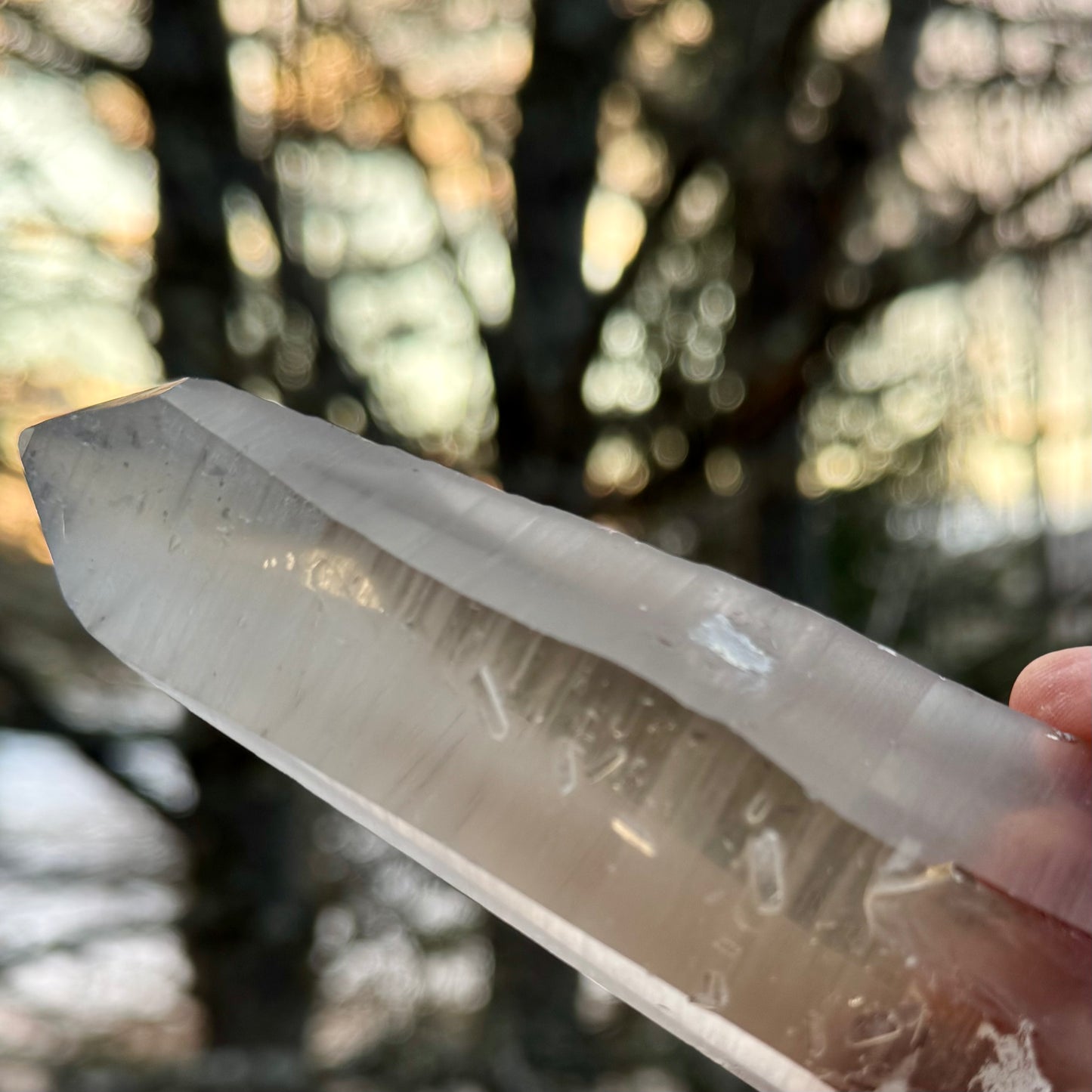 Smoky Lemurian Seed Crystal Wand