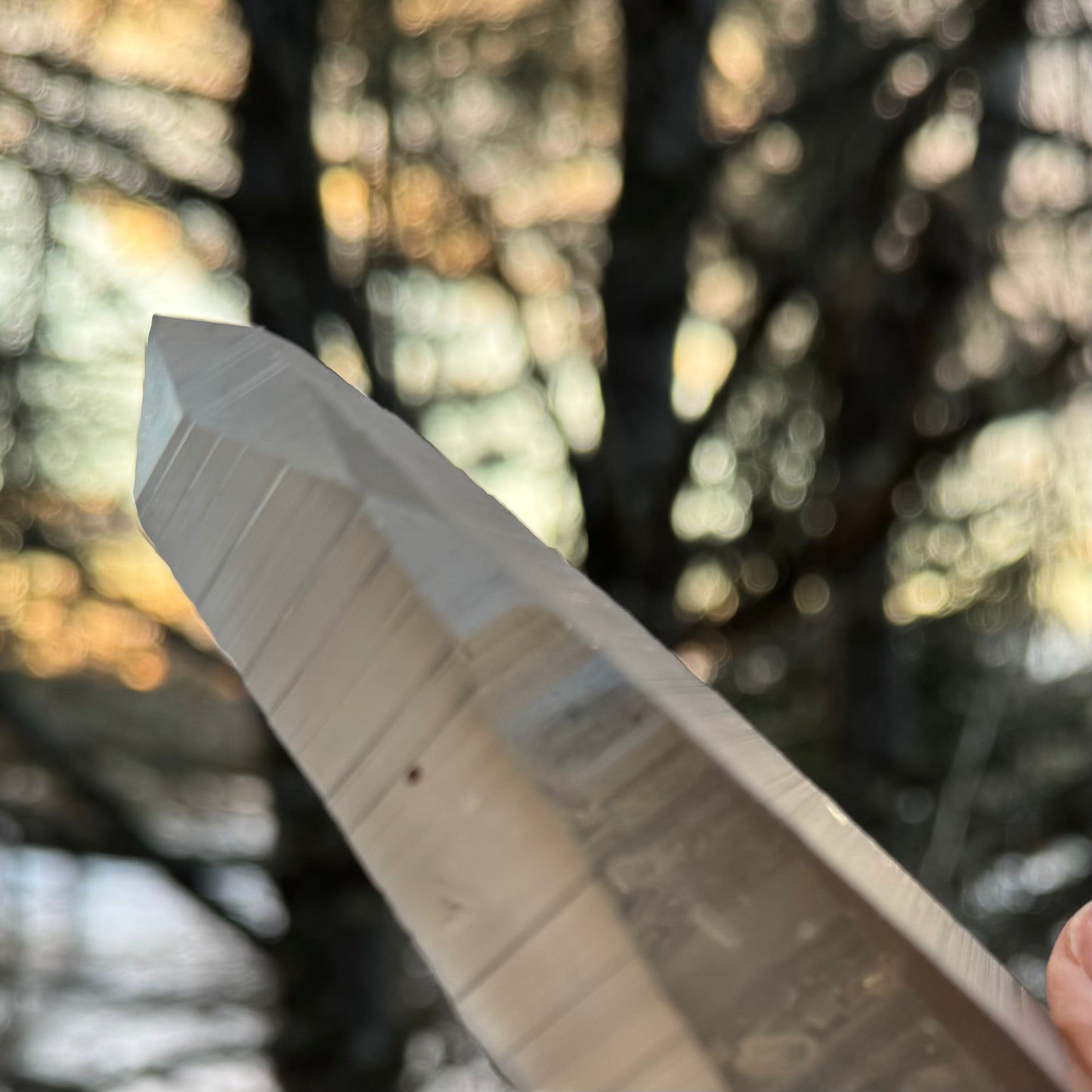 Smoky Lemurian Seed Crystal Wand