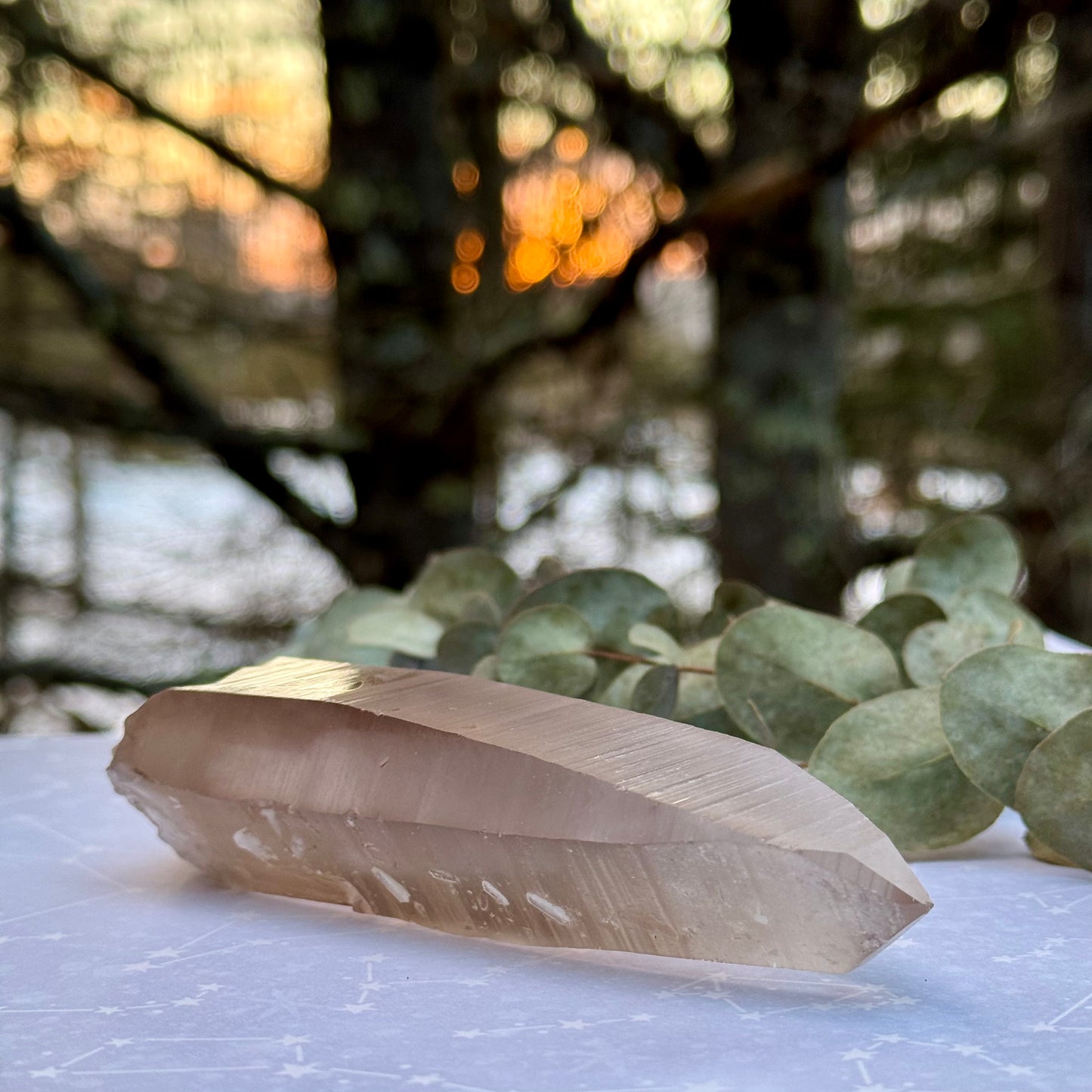 Smoky Lemurian Seed Crystal Wand